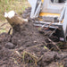 GreyWolf Skid Steer Stump Bucket - Grizzly Attachments