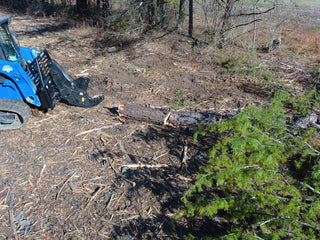 Tree Shear - Image 3