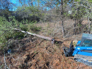 Tree Shear - Image 4